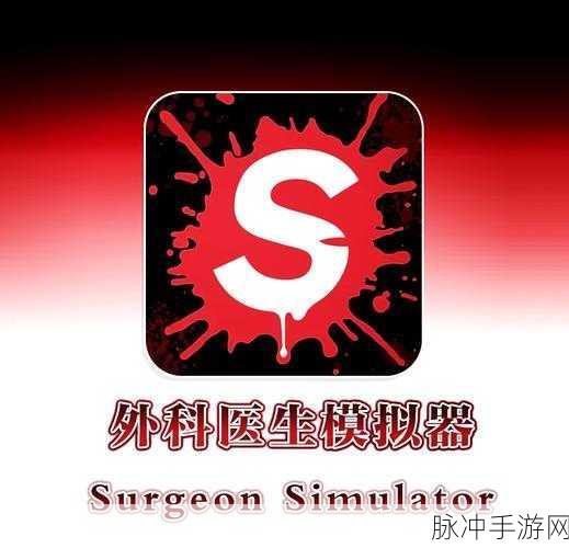 探秘模拟外科手术手机版，卡通风格下的经营游戏新体验