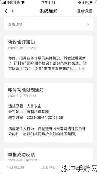 Soul 中私聊受限之谜，深度解析与应对策略