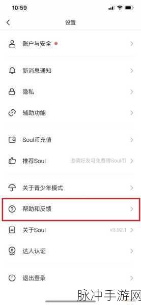 Soul 中私聊受限之谜，深度解析与应对策略