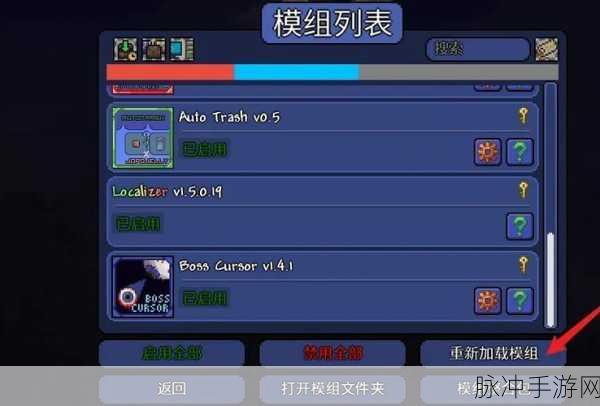 泰拉瑞亚灾厄，神秘宝藏袋售卖 Mod 大揭秘