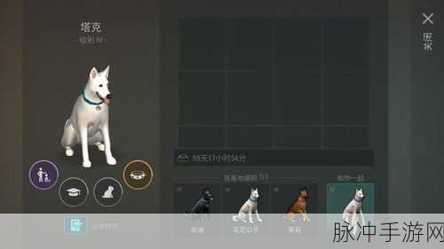 手游世界中狗狗养犬证办理全攻略