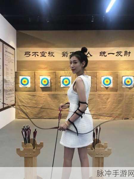 影子苹果射手，探索物理特性的休闲射箭之旅