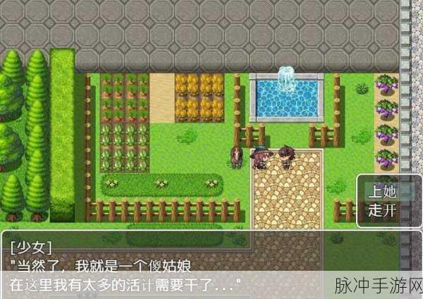 异世界OL破解版探索指南，魔幻角色扮演之旅的深度剖析