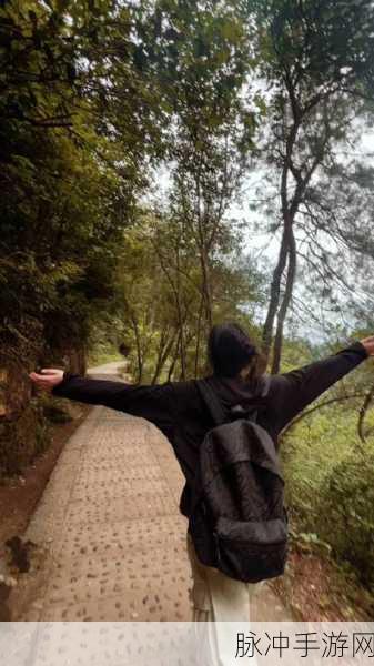 蹦跳hop游戏下载，解锁蹦跶蹦跶的欢乐闯关之旅
