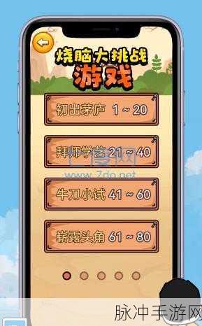 完美无缺游戏下载，解锁魔性闯关的烧脑益智新体验