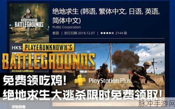 绝地求生国际服下载指南，深入解析百人吃鸡大逃杀游戏攻略