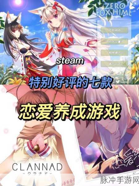 奇葩恋爱养成新体验，兼职握手会粉丝分离工作手游攻略