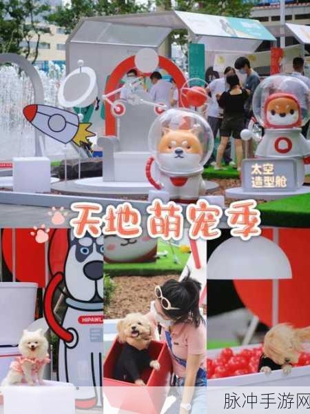 动物派对战斗（Pet Gang Party）下载全攻略，以动物为主角的动作冒险盛宴