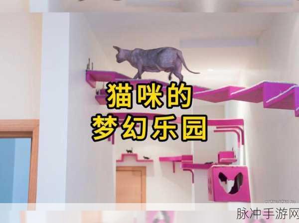 喵喵幻想曲下载指南，音乐节奏与猫咪养成的梦幻结合