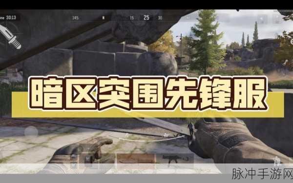 暗区突围国际先锋服下载全攻略，第一人称射击类游戏新体验