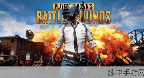 Project，Battle官方版深度解析——网易匠心巨献的吃鸡新体验