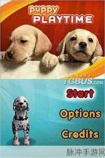 Puppy.IO游戏下载，探索画面清新的io休闲游戏新世界