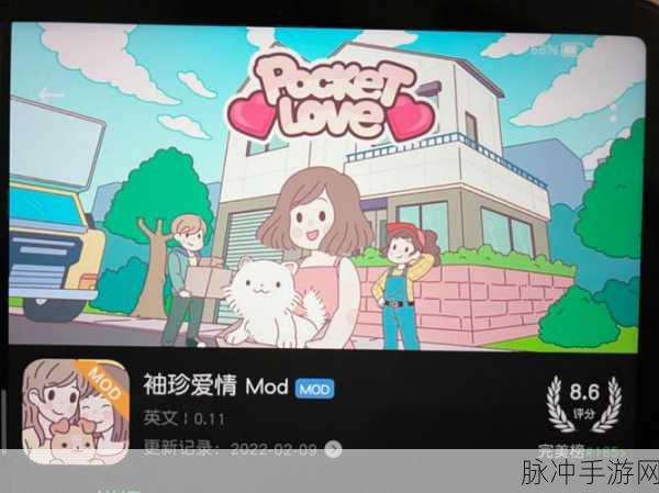 Pocket Love中文版下载，轻松上手，内容丰富的经营模拟游戏攻略