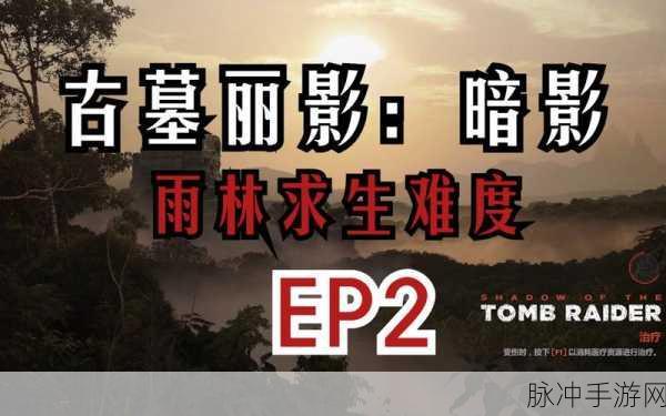 古墓丽影暗影雨林求生通关秘籍与深度解析