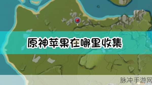 原神苹果收集秘籍，快速获取最多苹果的位置大公开