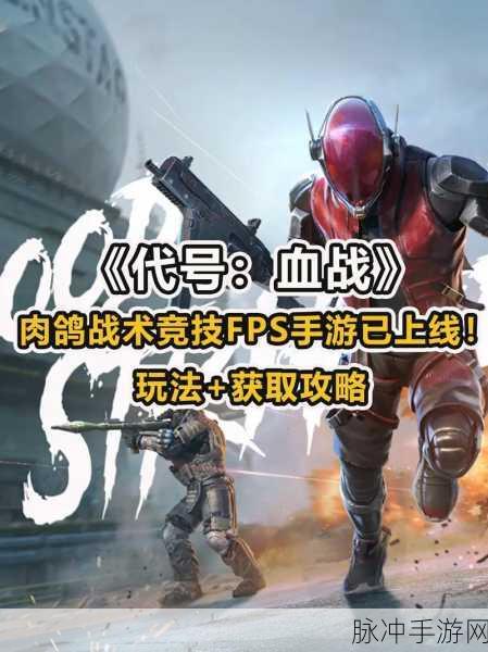 生存战争吃鸡战，非常毫安FPS手游全攻略