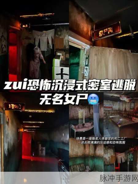 黑暗迷宫噩梦，沉浸式恐怖逃脱游戏攻略指南