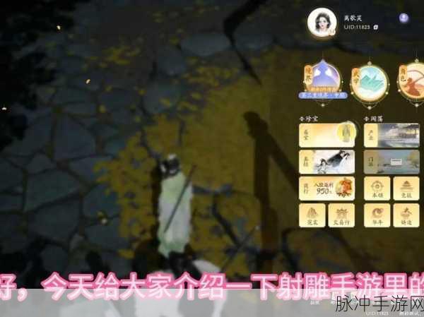射雕手游，探寻满屋子书籍的神秘之所
