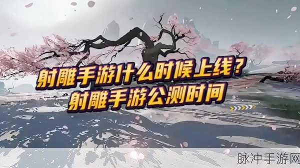 射雕手游，探寻满屋子书籍的神秘之所