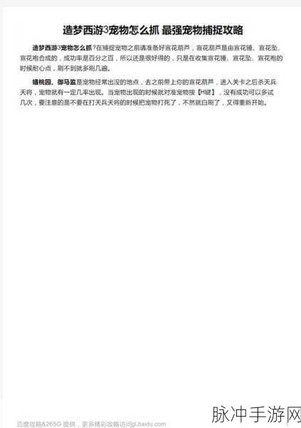 造梦西游 3 抓取极品宠物秘籍大公开