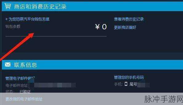 Steam 余额转蒸汽平台全攻略指南