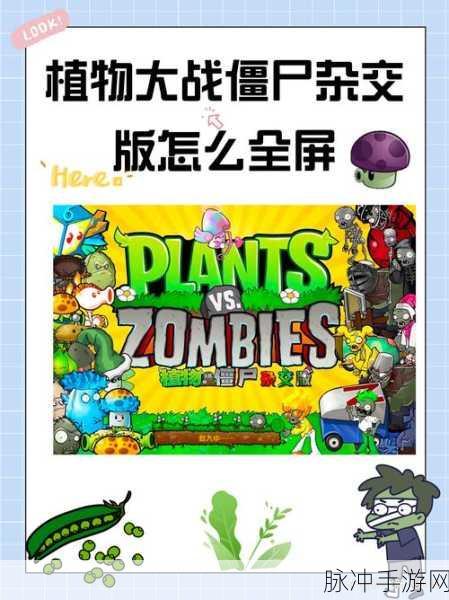 植物大战僵尸全屏无黑边秘籍大公开
