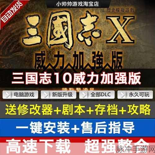 三国志 10 威力加强版受伤应对全指南