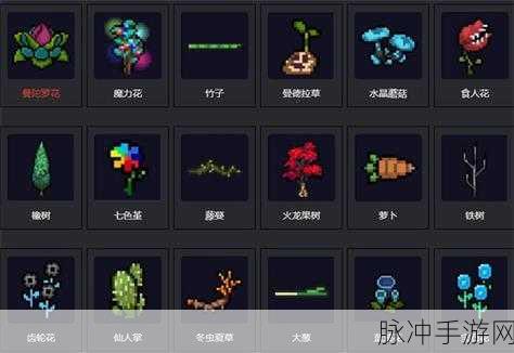 元气骑士，魔力花的神奇用途与获取秘籍