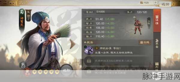 三国志战棋版，诸葛恪阵容搭配秘籍