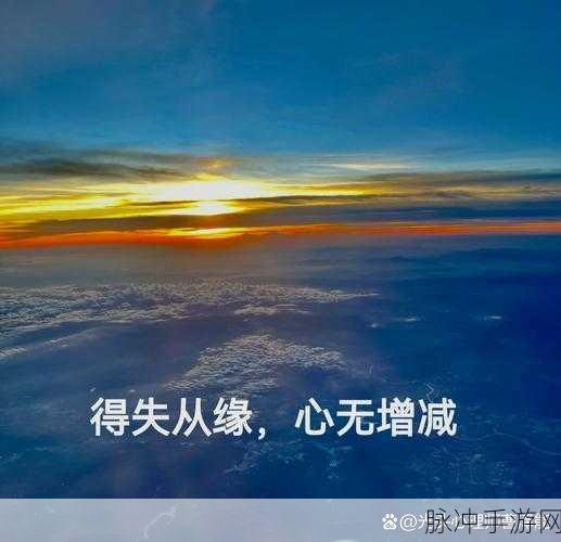 烟雨江湖，仁波上师喜好全解析，得失心态要平衡