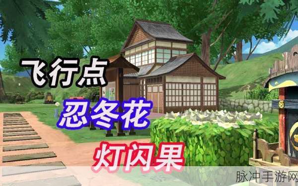 小森生活灯闪果位置大揭秘与刷新点全攻略