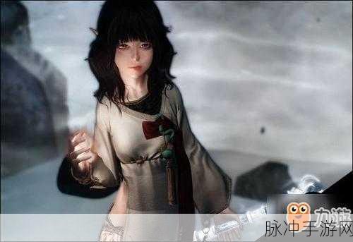 上古卷轴 5 手游，绝美妹子捏脸数据大揭秘