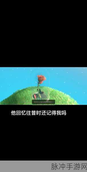 光遇小王子季第四个任务全解析
