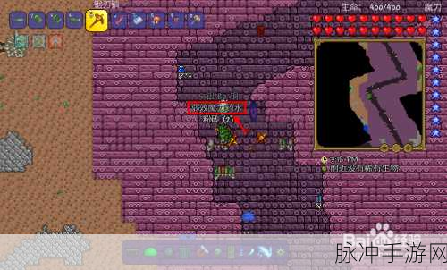 泰拉瑞亚魔力值，深度解析其奥秘与作用
