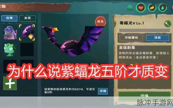创造与魔法巫蝠龙刷新地点全解析