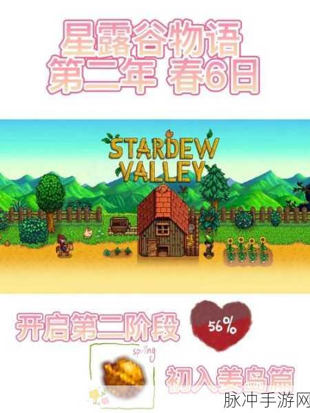 星露谷物语姜岛海盗湾神秘探寻之旅