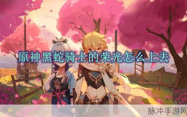 原神，解锁黑蛇骑士荣光的神秘攻略