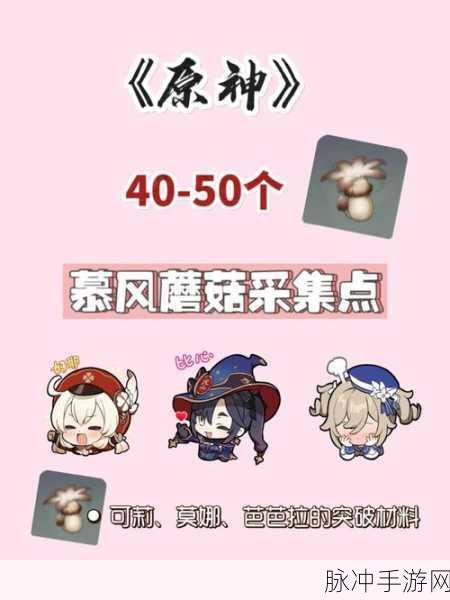 原神慕风蘑菇采集秘籍，轻松装满你的背包