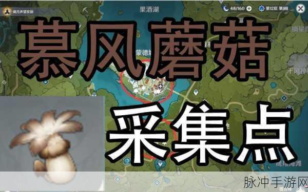 原神慕风蘑菇采集秘籍，轻松装满你的背包