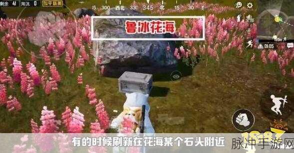 和平精英山谷特训补给箱的神秘所在