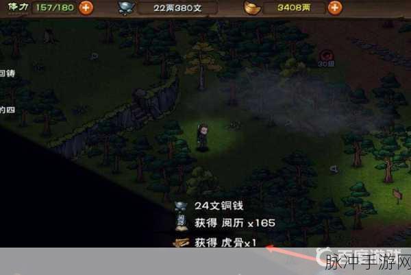 烟雨江湖中虎骨不能多刷的深度解析