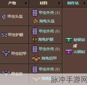 泰拉瑞亚甲虫套装，强大属性与实战表现解析