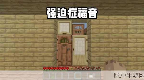 我的世界，强迫症玩家的惊人表现全解析
