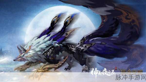 神都夜行录，探寻青丘占卜师的神秘所在