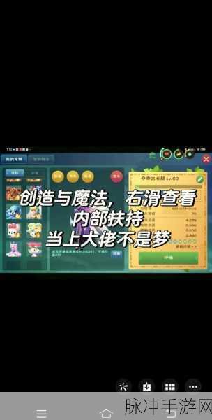 创造与魔法，宠物抓捕秘籍大公开