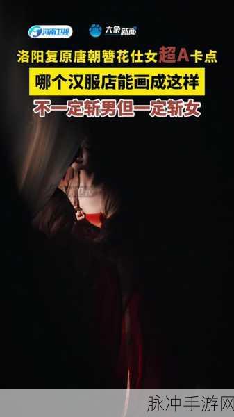 烟雨江湖牡丹仕女图用途全解析