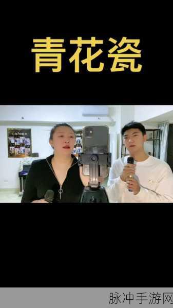 烟雨江湖牡丹仕女图用途全解析