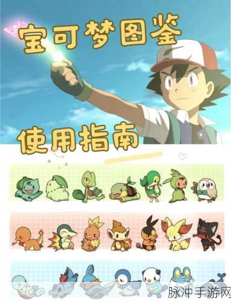 宝可梦大集结宝可梦进化秘籍全解析