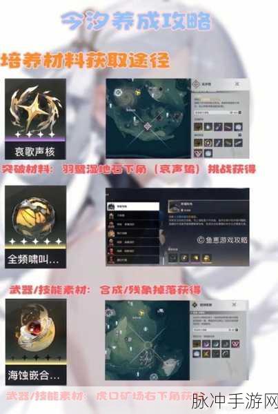 鸣潮今汐突破材料全解析与升级攻略指南