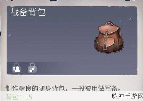 冰原守卫者背包扩容秘籍 全方位详解升级之道